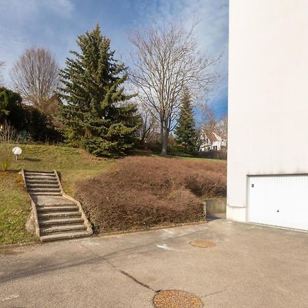 Travel Homes - Le Rebberg, Superbe Vue A Mulhouse Dış mekan fotoğraf