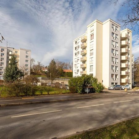 Travel Homes - Le Rebberg, Superbe Vue A Mulhouse Dış mekan fotoğraf