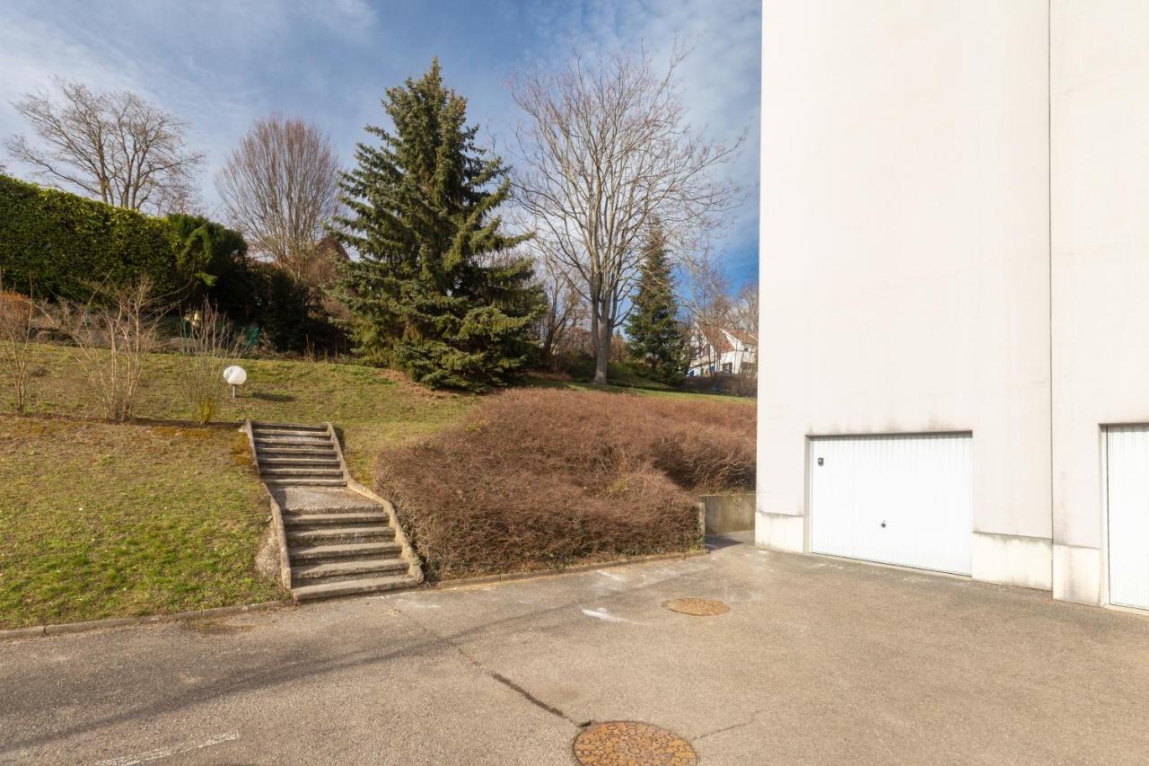 Travel Homes - Le Rebberg, Superbe Vue A Mulhouse Dış mekan fotoğraf